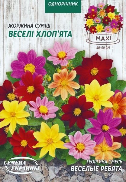 Семена Семена Украины георгина Весёлые Ребята (смесь) 2 г