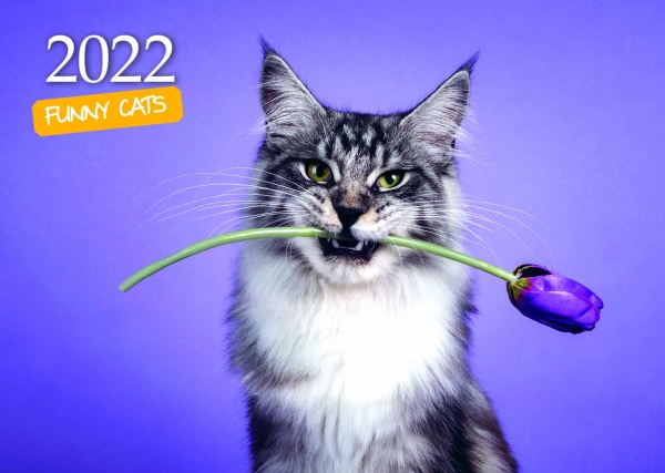 Календарь Діана Плюс Кишеньковий (32 види) 2022