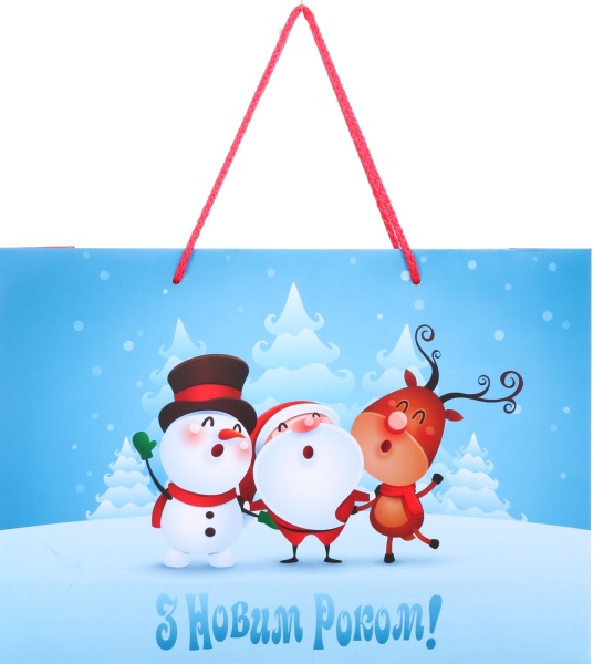 Пакет подарочный горизонтальный С Новым Годом! 245х350х100 мм