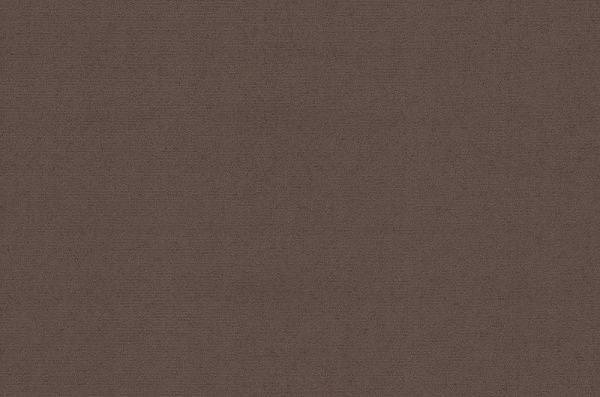 Шпалери вінілові на флізеліновій основі Bravo 86028BR86 1,06x10,05 м 