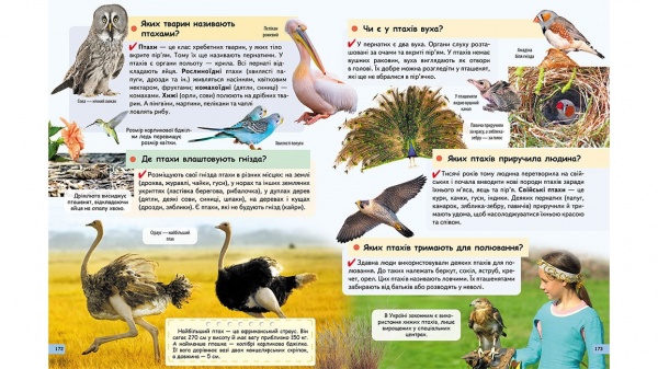 Книга «Чомусикам про все на світі» 978-966-947-484-1