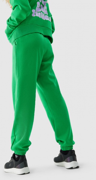 Штани 4F TROUSERS CAS F426 4FJAW23TTROF426-41S р. 146 фіолетовий