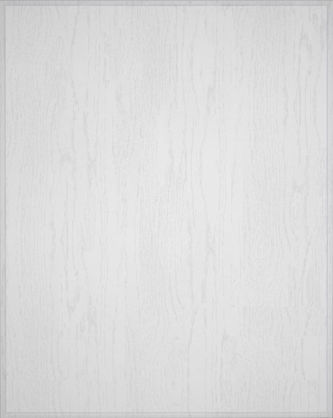 Боковина Грейд Біла текстура супермат №205 720х574 н/св Невада