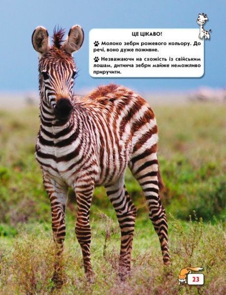 Книга «Світ навколо нас. Малята тварин» 978-966-9369-49-9