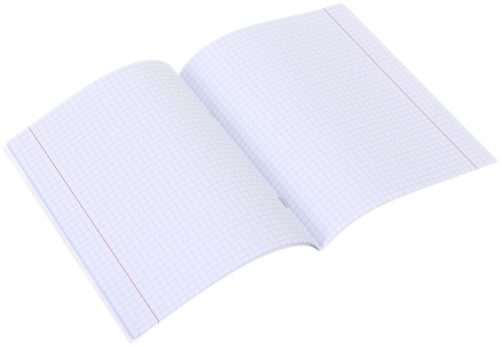 Тетрадь школьная Capybara_25 24 листа в клеточку Nota Bene