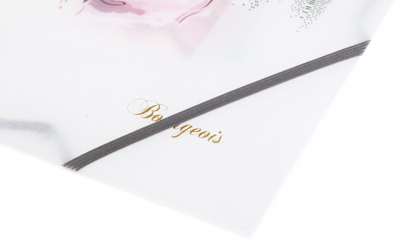 Папка на резинке A4 цветная печать P0144 в ассортименте Bourgeois 