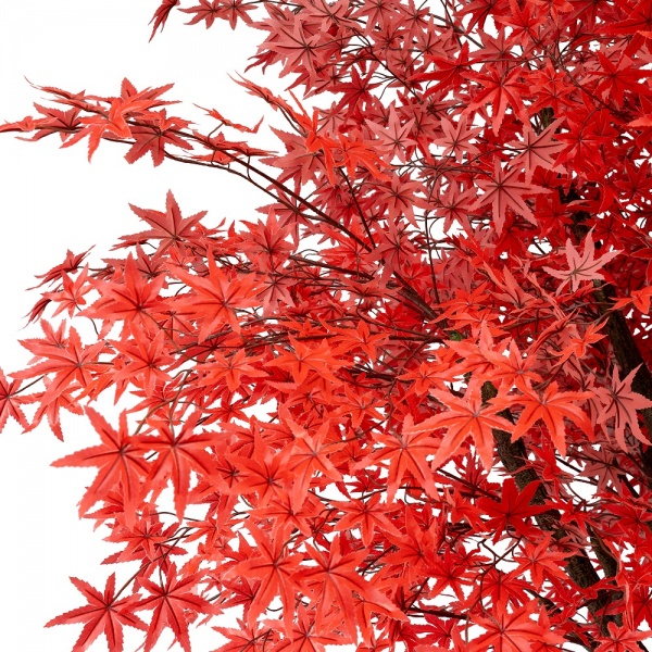 Дерево штучне Клен 250 см на підставці 360566