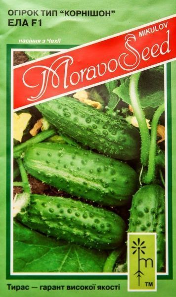 Насіння MoravoSeeds огірок Ела 1,2г