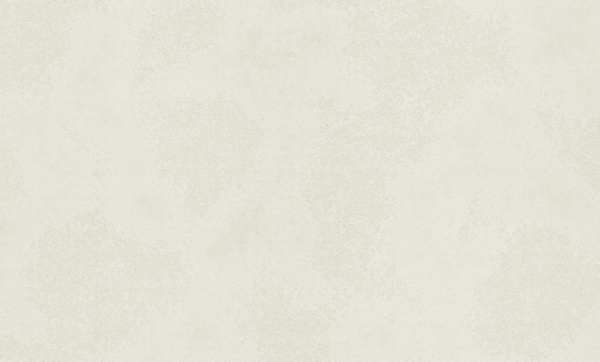 Шпалери вінілові на флізеліновій основі Bravo 81187BR21 1,06x10,05 м 