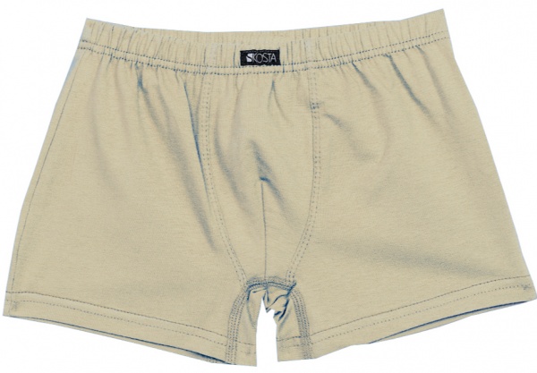 Трусы для мальчиков KOSTA р.146–152 бежевый 2105-3 