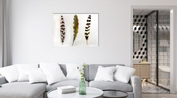 Картина Пір'я коричневе AQUA-8 50x70 см ЕО172 