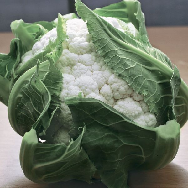 Семена Професійне насіння капуста цветная Бьянка F1 20 шт. (4820176693396)