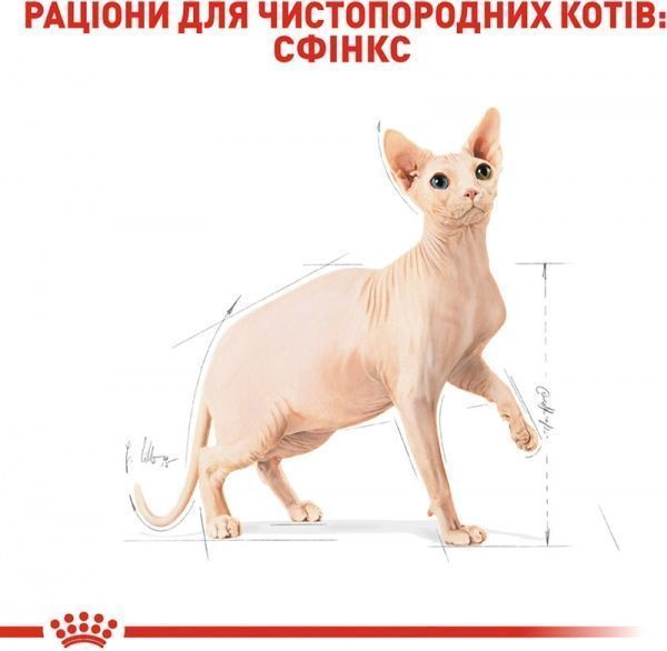 Корм Royal Canin Sphynx Adult 2 кг