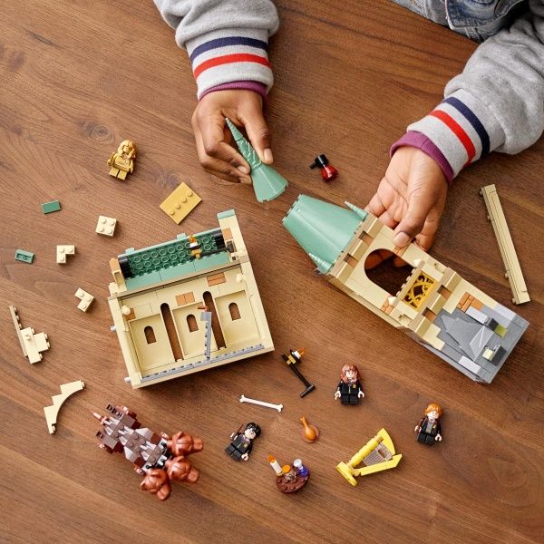 Конструктор LEGO Harry Potter Гоґвортс: зустріч із Флафі 76387