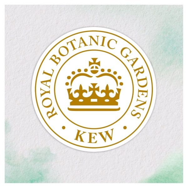 Маска для волосся Herbal Essences Алое та олія авокадо 250 мл