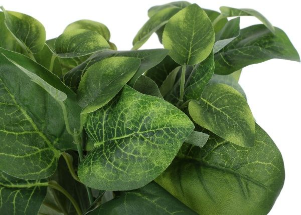 Цветочная композиция искусственная Аглаонема зеленая PFC(NL)-717C