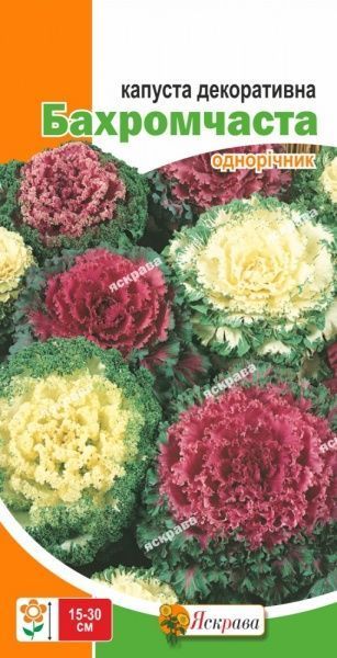 Семена Яскрава капуста декоративная Бахромчастая 0,2г (4823069805562)
