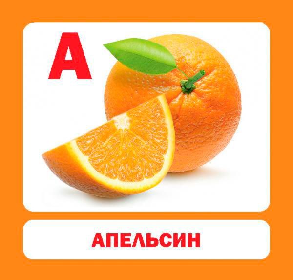 Книга «Навчальний посібник. Абетка»