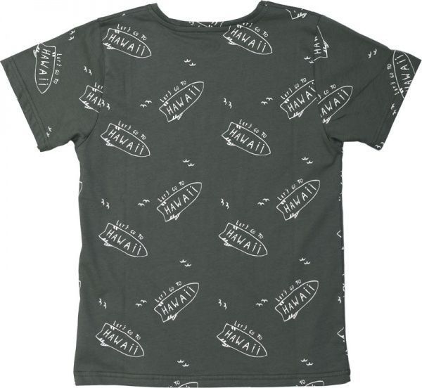 Футболка для хлопчиків Фламінго р.146 хакі 864-124 