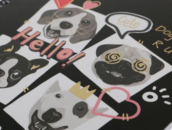 Тетрадь школьная А5 80 листов в клеточку A5-SC-080-6077K Student Школярик