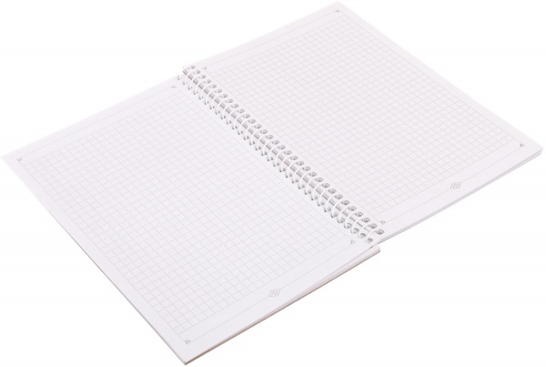 Тетрадь школьная Спираль A5 60 листов в клеточку