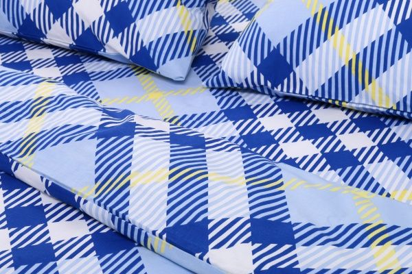 Комплект постільної білизни Клітинка 1,5 блакитний Rigel 