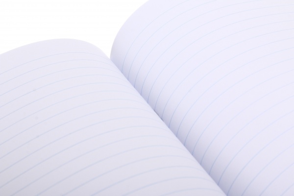 Зошит шкільний уф-лак 48 аркушів у лінійку в асортименті Мрії збуваються