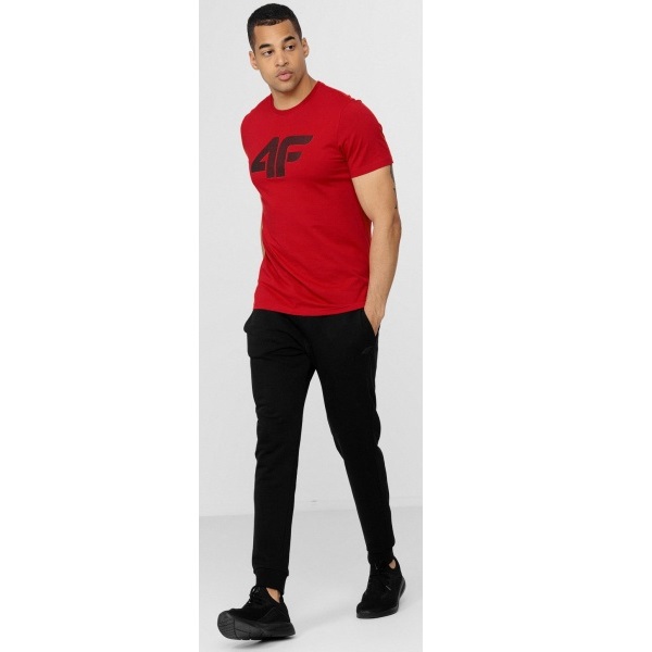 Брюки 4F H4L22-SPMD350-20S р. XL черный