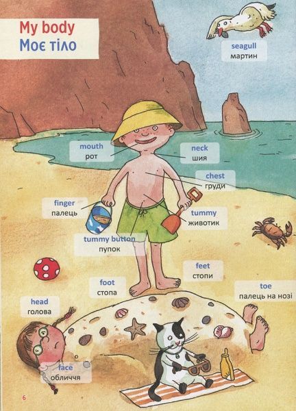 Книга «Мій перший словник-віммельбух English» 9789669428905