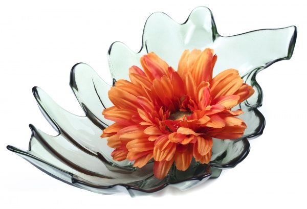 Фруктовниця HOJA PARRA зелена San Miguel