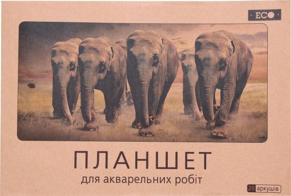 Планшет для акварельных работ Маки