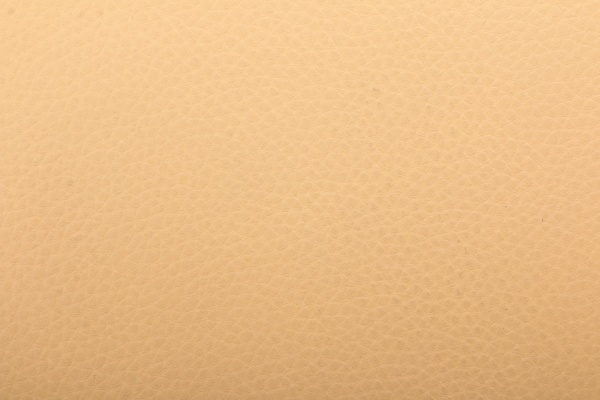 Сиденье D-34 S-08 кожезаменитель бежевый Примтекс Плюс 