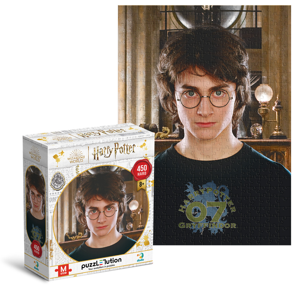 Пазл DoDo Hard-M Harry Potter. Портрет Гарри 450 элементов 200576