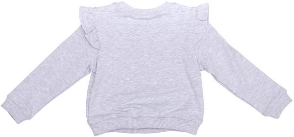 Реглан Sasha р.116 серый 4581 