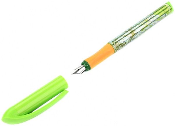 Ручка перьевая Schneider S12243 