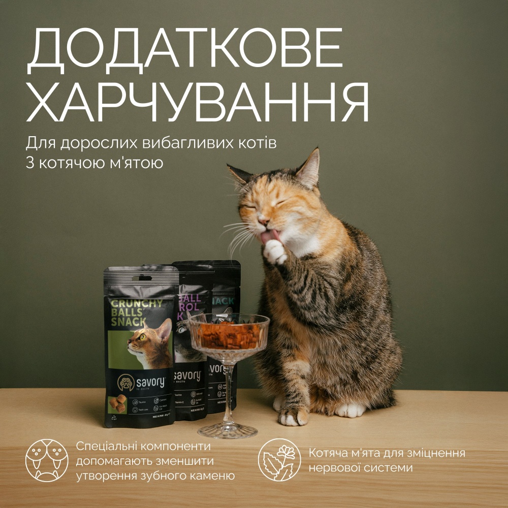 Ласощі для вибагливих котів Savory кульки з котячою м'ятою 60 г
