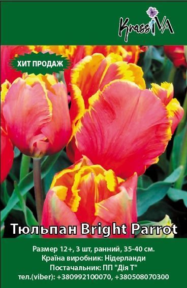 Луковица Тюльпан Bright Parrot 3 шт. 