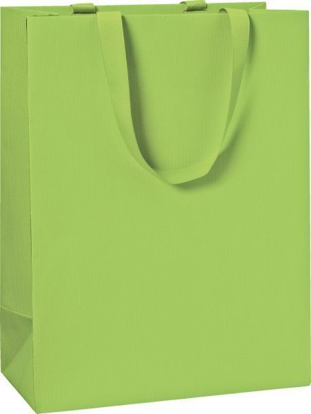 Пакет подарочный One Colour light green 25х13х33 см STEWO