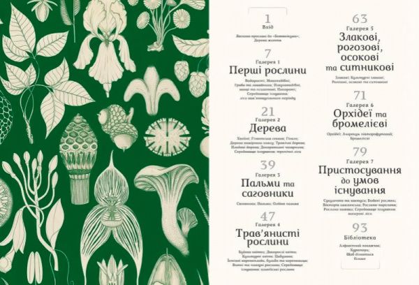 Книга Кесі Вілліс «Ботанікум» 978-617-679-632-9