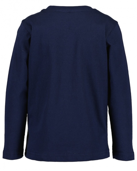 Реглан для мальчика Blue Seven Дино р.110 ультрамарин 850736 X* 