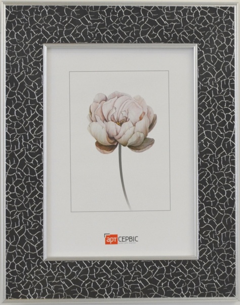 Рамка для фото Арт-Сервіс ЭА-01822 1 фото 10x15 см черный с серебряным 