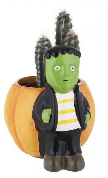 Растение Кактус в горшке хеллоуин 6/12