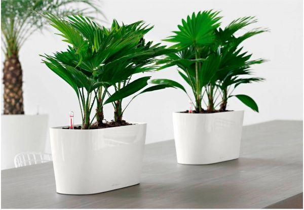 Вазон пластиковый Lechuza Delta 20 овальный 10л белый (15560) 