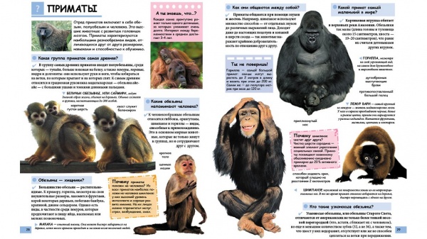 Книга «Иллюстрированная детская энциклопедия в вопросах и ответах» 978-966-947-369-1