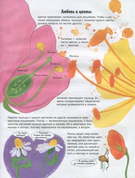 Книга «Книга Бджоли.Про що говорять тварини.»