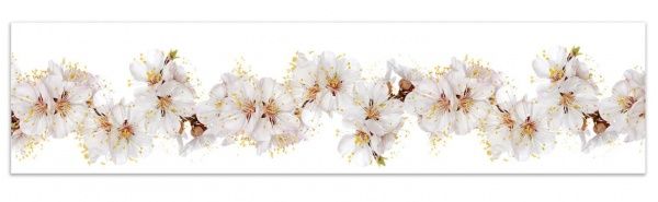 Наклейка на кухонный фартук Zatarga Цветы вишни 01 Z180097 65x250 см