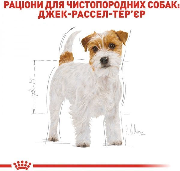 Корм Royal Canin для собак JACK RUSSEL ADULT 3 кг