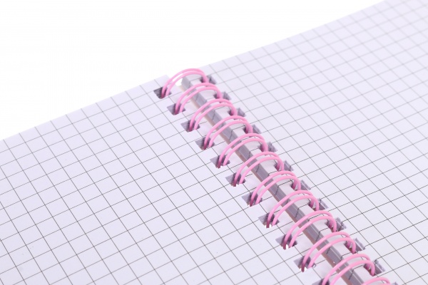 Книга для записей на спирали Котенок 80 листов А5