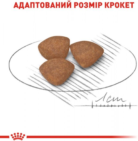 Корм Royal Canin для цуценят MINI PUPPY 2 кг