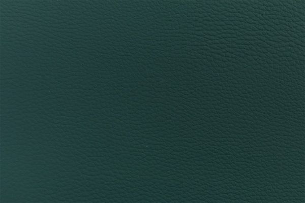 Шкірозамінник (41601028) зелений